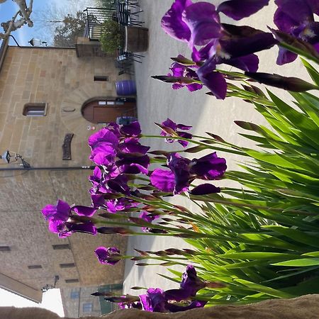 La Posada De Leza La Guardia エクステリア 写真